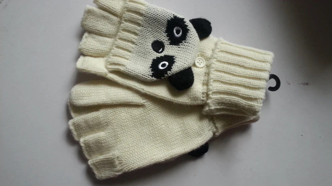 Women Touch Screen Winter Women Knitted Gloves (JKG-2118)