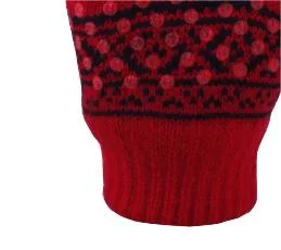 Winter Warm Touch Screen Jacquard Magic Non-Slip Winter Gloves