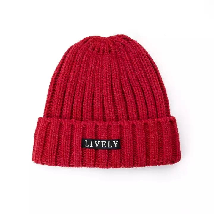 Solid Color Custom Embroidery Logo Rib Winter Kit Hats Outdoor Warm Customize Beanies Hats