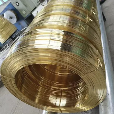  Non-Magnetic, Wear-Resistant. Good Ductility Qsn6.5-0.1c5191 Qsn4-3 Qsn10-1 Phosphorus Copper Wire