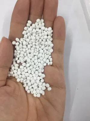 Titanium Dioxide TiO2 White Color Masterbatch