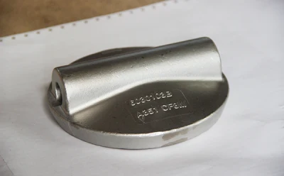 Custom Foundry Bronze Steel Water Pump Sand Casting with Powder Coated
