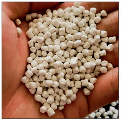 High Quality CaCO3/Na2so4/Baso4 Filler Masterbatch Manufacturer