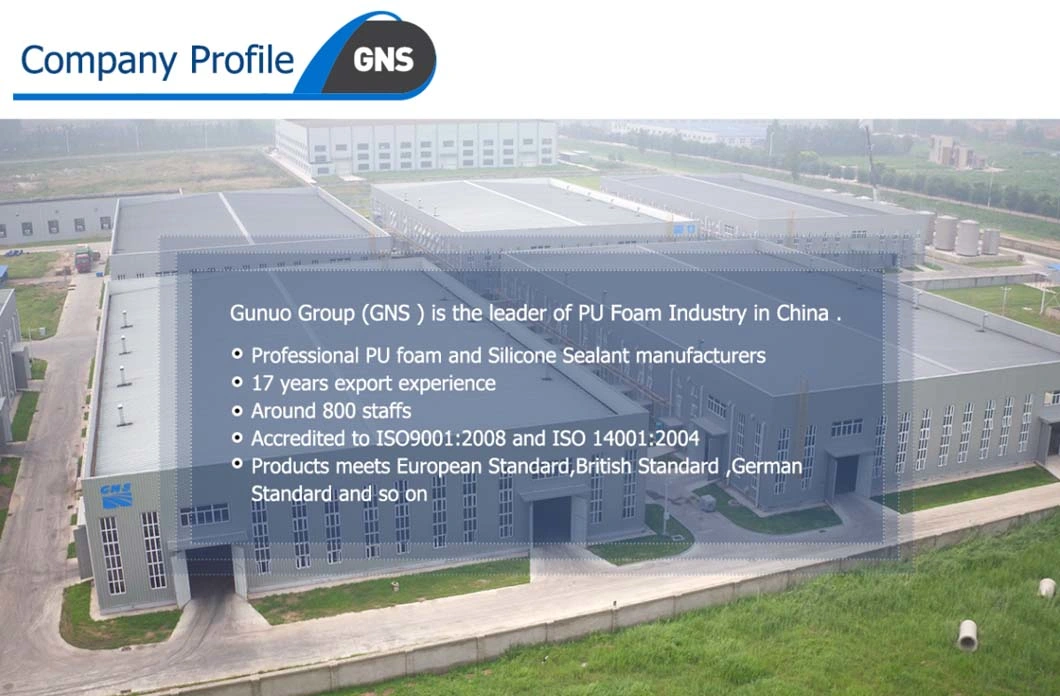 Gns Outstanding Adhesion Performance Construction Filling Glue for Marble Stone Process Factory