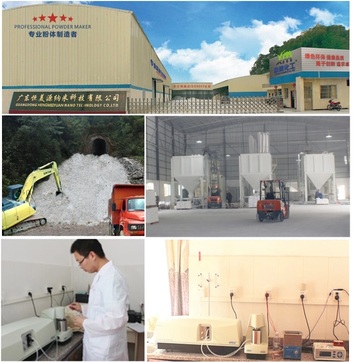 Calcium Carbonte Chemical Powder Applied to Rubber Plastic CaCO3