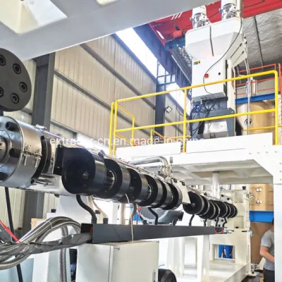 Leader Machinery R-PET Mono strato di plastica linea di estrusione fogli