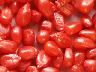 Rivestimenti coloranti per semi liquidi a base di acqua CNMI
