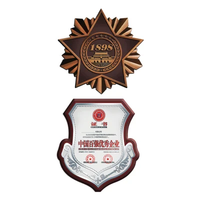 Targa di riconoscimento del Premio della targa di metallo della targa di identificazione promozionale Placca Memento Coin Medallion