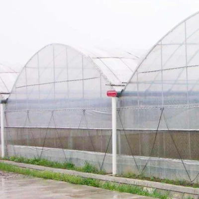 Plastica pellicola Hydroponics giardino Agro serra con sistema di raffreddamento