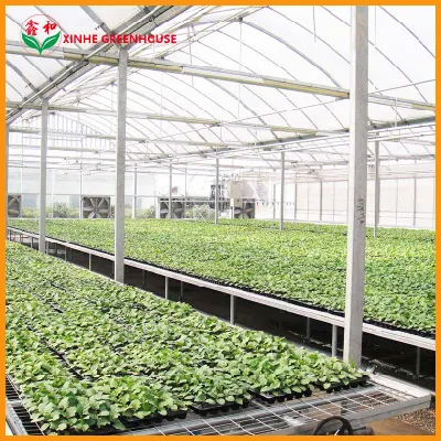 Plastica pellicola Hydroponics giardino Agro serra con sistema di raffreddamento
