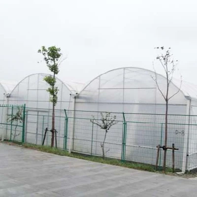 Plastica pellicola Hydroponics giardino Agro serra con sistema di raffreddamento