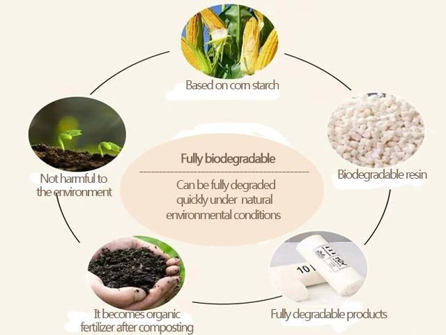 China Factory Food Grade Environmentally Friendly 100% Biodegradable PLA Masterbatch