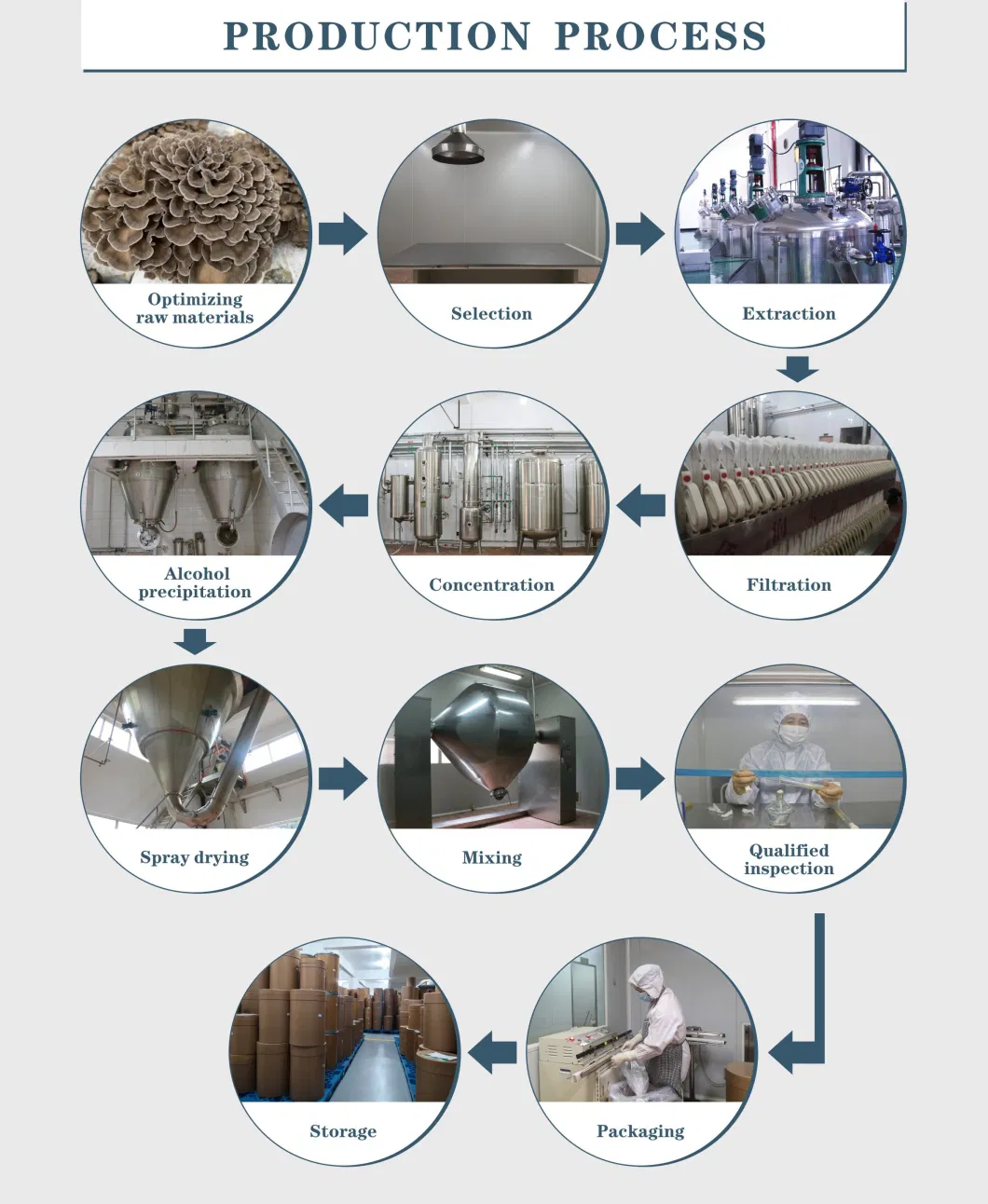 Sclerotium Poriae Cocos Extract Powder