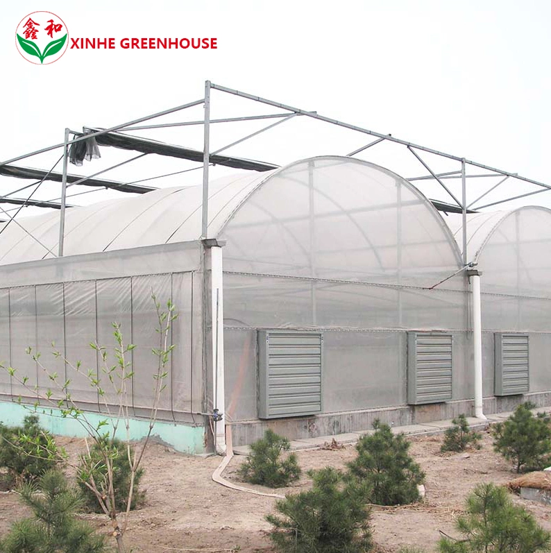 Plastic Film Hydroponics Garden Agro Greenhouse with Cooling System