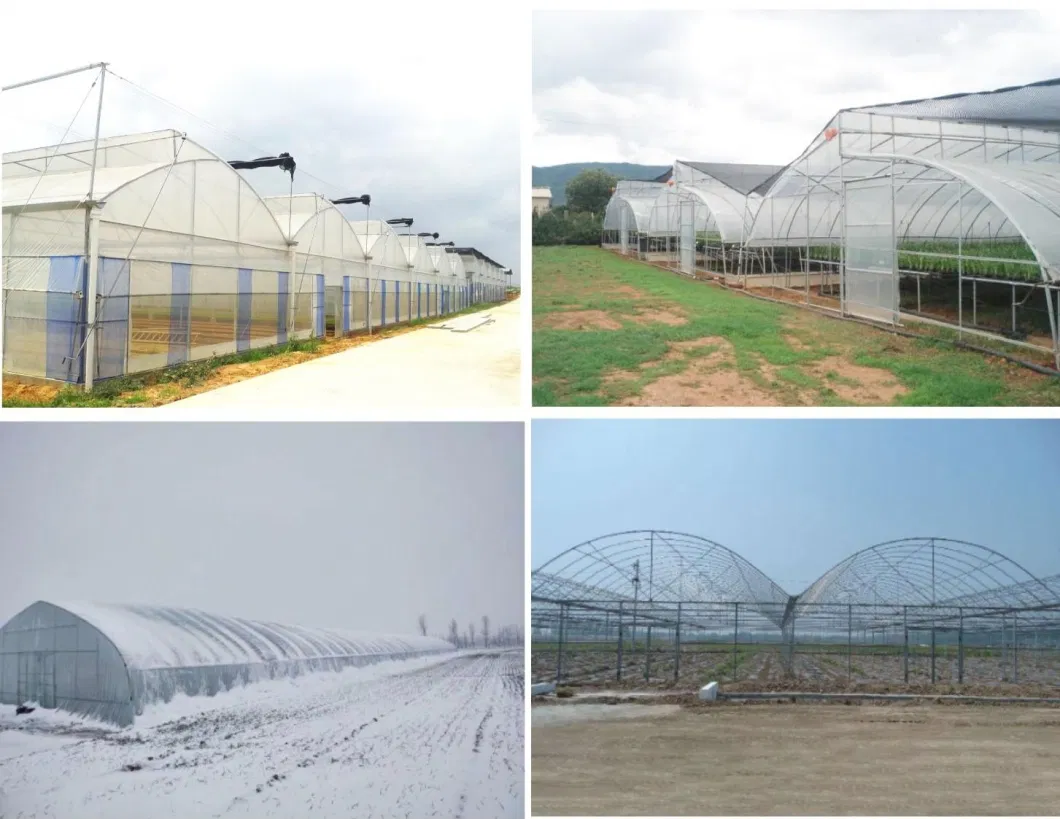 Plastic Film Hydroponics Garden Agro Greenhouse with Cooling System