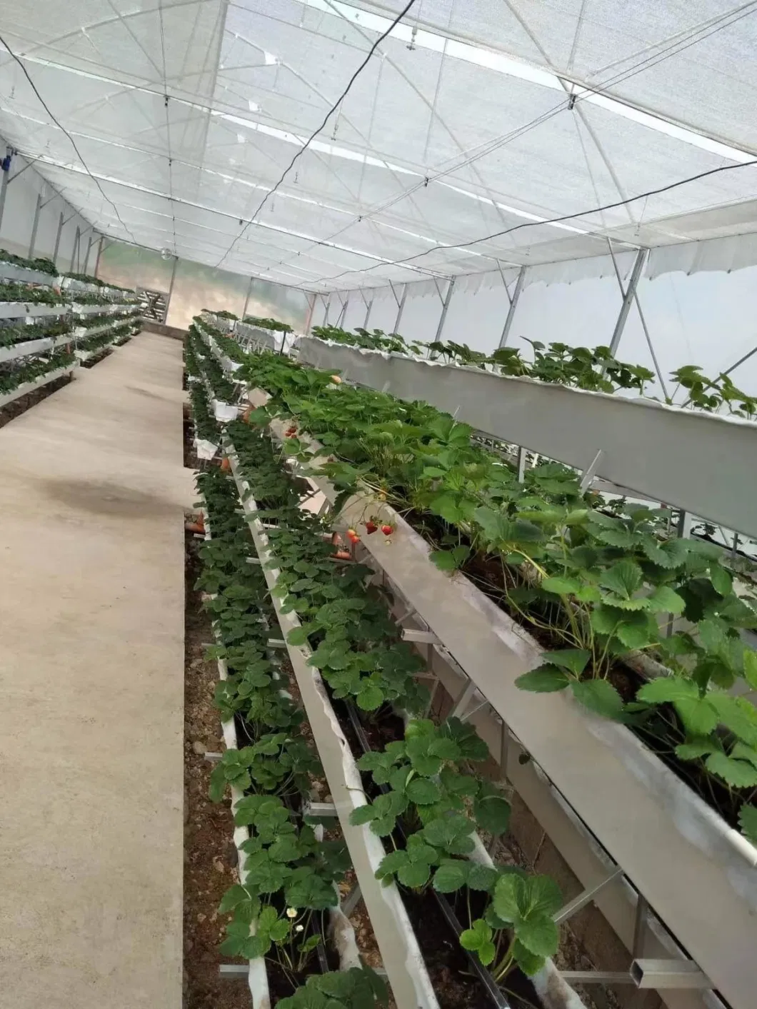 Hydroponics Greenhouse Nft Growing System Vertical PVC Strawberry Gutter Coco Coir Substrate Media Vegetable Grow System