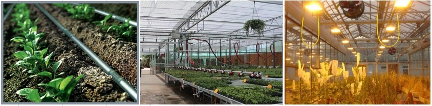 Film Hydroponics Garden House Shed Agro Greenhouse with Cooling System