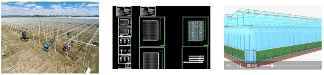 Film Multi Span Hydroponics Vegetables Warehouse Greenhouse with Cooling System