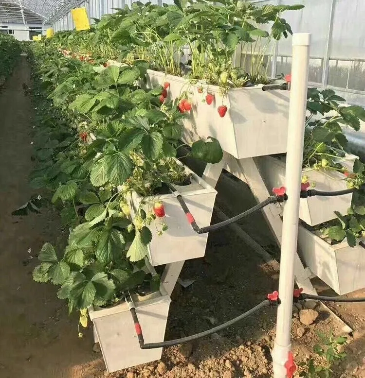 Hydroponics Greenhouse Nft Growing System Vertical PVC Strawberry Gutter Coco Coir Substrate Media Vegetable Grow System