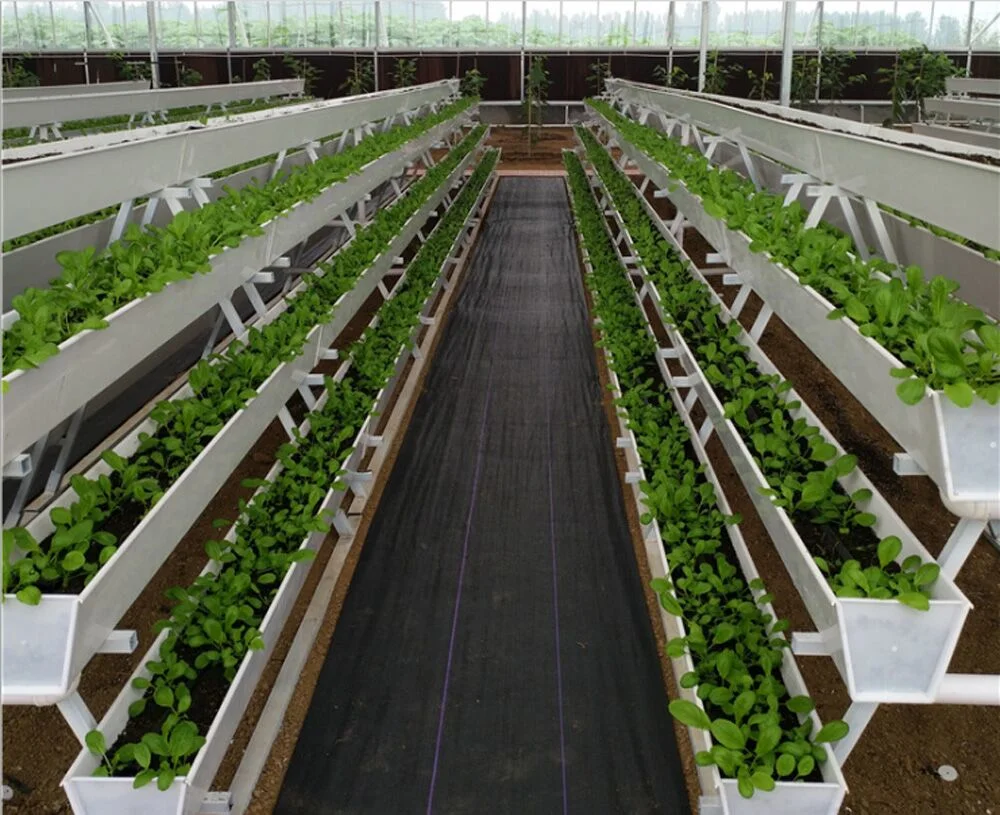 Hydroponics Greenhouse Nft Growing System Vertical PVC Strawberry Gutter Coco Coir Substrate Media Vegetable Grow System