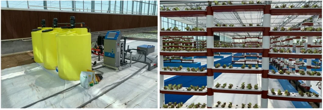 Plastic Multi Span Garden Greenhouse for Vegetables Growing with Cooling System