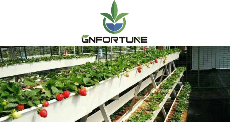 Hydroponics Greenhouse Nft Growing System Vertical PVC Strawberry Gutter Coco Coir Substrate Media Vegetable Grow System