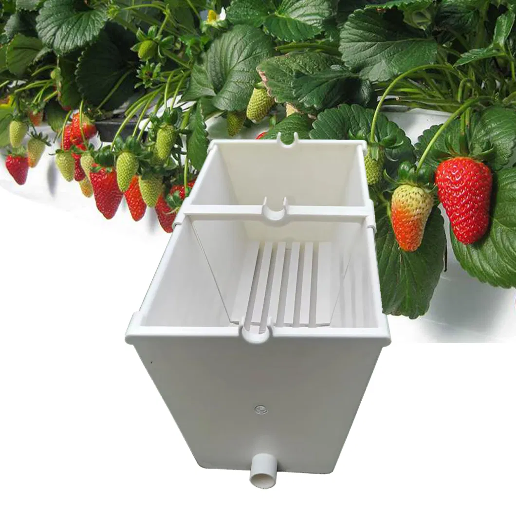 Hydroponics Greenhouse Nft Growing System Vertical PVC Strawberry Gutter Coco Coir Substrate Media Vegetable Grow System