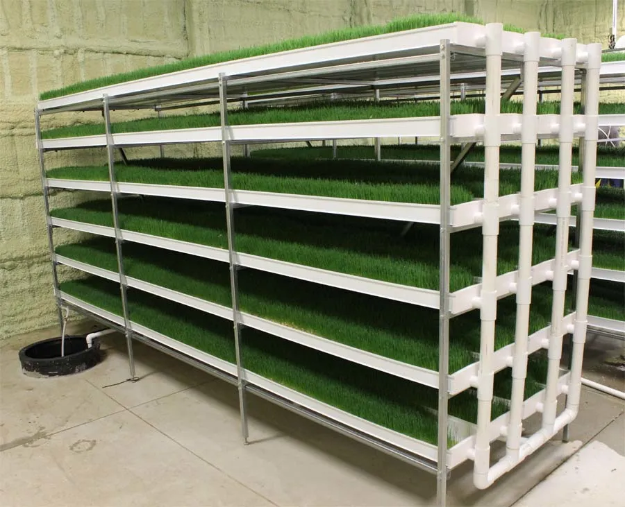 Hydroponics Greenhouse Nft Growing System Vertical PVC Strawberry Gutter Coco Coir Substrate Media Vegetable Grow System