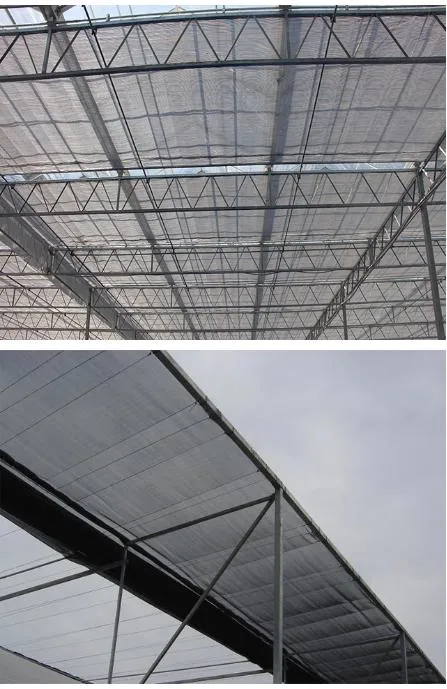 Plastic Film Hydroponics Garden Agro Greenhouse with Cooling System