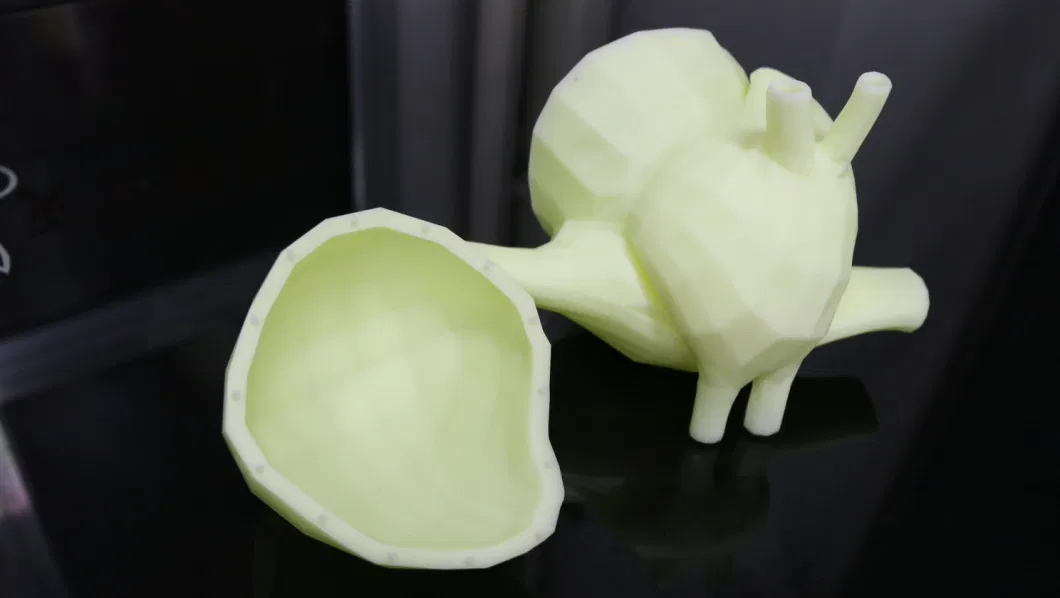 Medical Supplies Heart Model New Technology 3D Printing Service Soft Rubber Material Heart