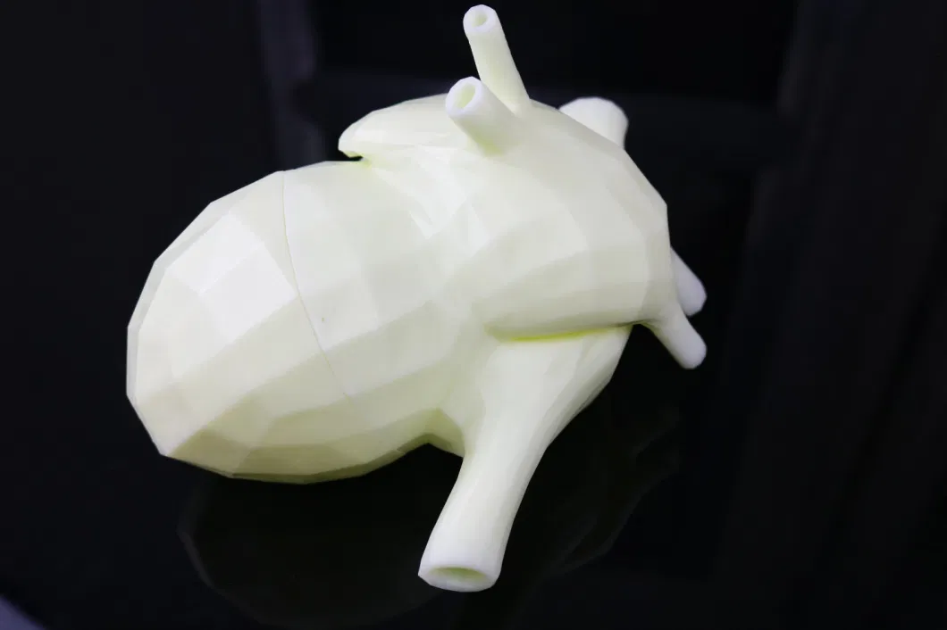 Medical Supplies Heart Model New Technology 3D Printing Service Soft Rubber Material Heart