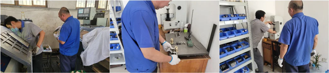 Seal Screw Plug Plug Screw Forging and Machining Parts Machine Hardware Spare Parts Turn Parts CNC Turn Parts Auto Parts China Weichai Oil Drain Bolt