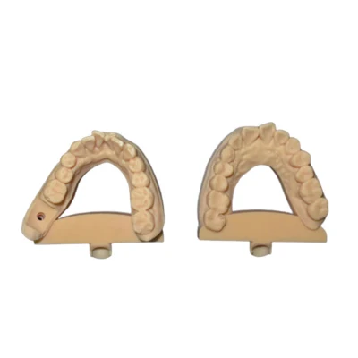 Nuovo progetto prodotti personalizzati in resina Servizio di stampa prototipale 3D Rapid