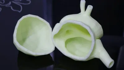 Forniture mediche modello cardiaco Nuova tecnologia 3D Printing Service Soft Cuore in gomma