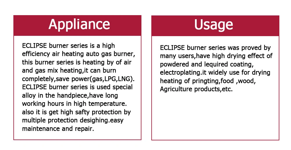 Original and Genuine Eclipse Gas Burner for Rapid Heating in The Industrial Field of Direct Sales in China Factories for Internal Combustion Engine Production