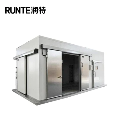 Runte Brand Industrial Condensing Unit PU Panel Walk in Freezer Air Blast Freezer Cold Room Storage for Fruits Vegetables Meat Fish Seafood Prefabricated Food
