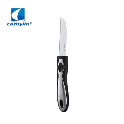 Stainless Steel Fruit Knife Kitchen Tools with Plastic Handle