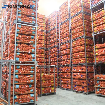 Industrial Logistics Fish Vegetable Fruit Seafood Onion Freezer Cold Room Storage