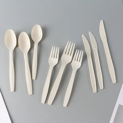 Hospitality Cutlery Set in Giftbox with High Quality Stainless Steel Tableware/Dinnerware/Cutlery