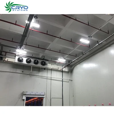 Cold Storage Prefabricated Food Cold Storage for Fresh Vegetables and Fruits