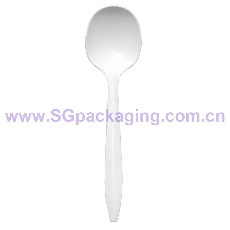 FSC Certificate 100% Compostable Biodegradable Disposable Tableware Spoon Travel Plastic Camping PLA Portable Cutlery Set