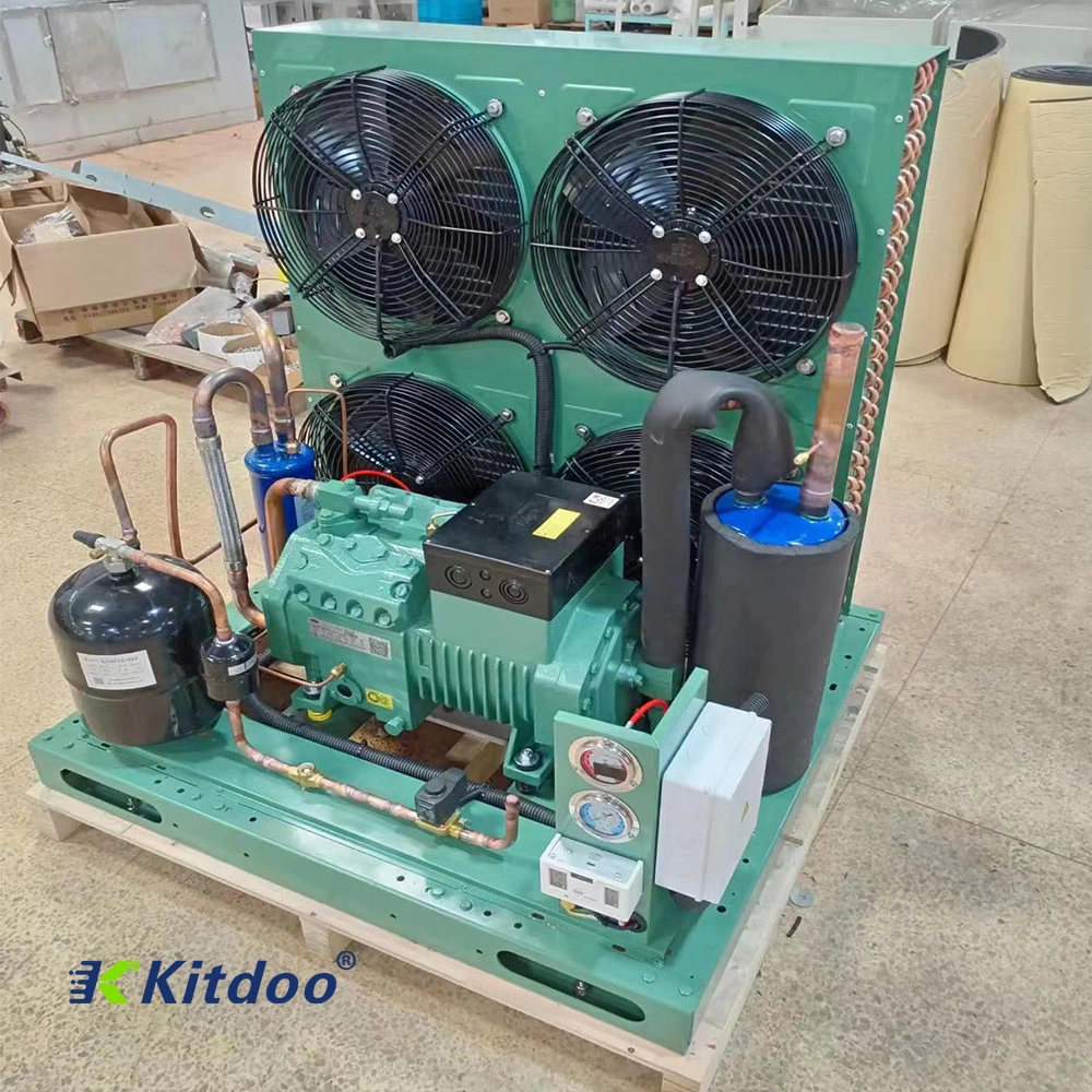 Cold Room Air Cooled Condensing Unit with R404A Compressor Refrigeration Unit for Cold Storage