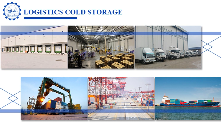 Fish and Seafood Industry Cold Storage Room