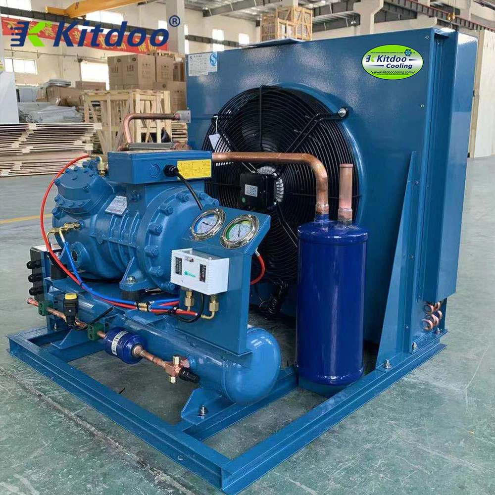 Cold Room Air Cooled Condensing Unit with R404A Compressor Refrigeration Unit for Cold Storage