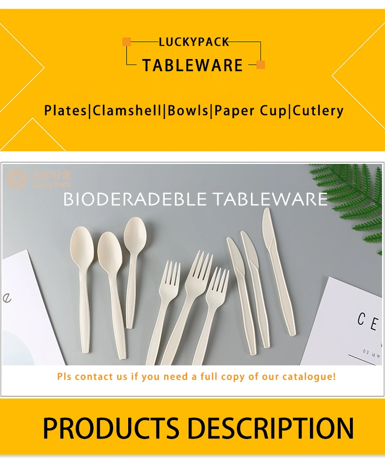 100% Compostable Biodegradable Disposable Tableware Bagasse Sugarcane Dinner Set