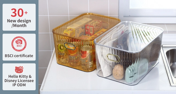 Household Large Capacity Pet Fridge Freezer Organizer Snack Fruit Clear Plastic Kitchen Food Storage Bin with Lid
