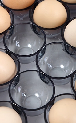 Household Kitchen Accessories Fridge Egg Organizer Storage Container Pet Clear Egg Holder