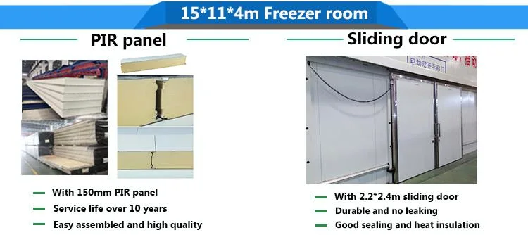 Cold Room, Cold Storage for Frozen Meat, Seafood, Vegetable and Fruits