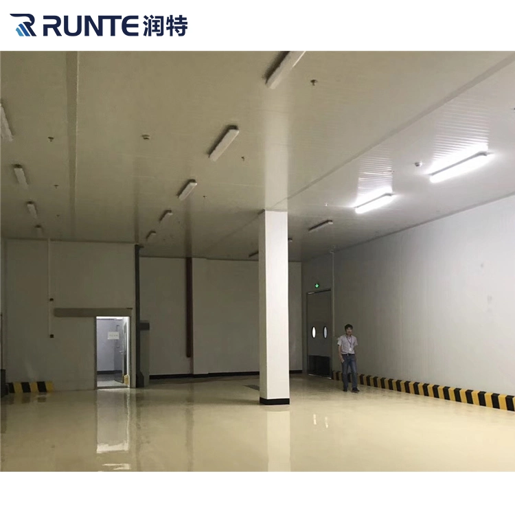 Runte Brand Supermarket Warehouse Distribution Center Industrial Logistics Seafood Meat Chicken Fish Freezer Freezing Room Cold Storage