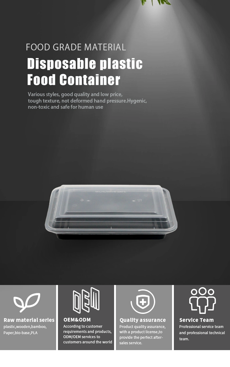Wholesale Takeaway Disposable Plastic Tableware 220mm Length PP Plastic Rectangle Food Container with Lid Custom